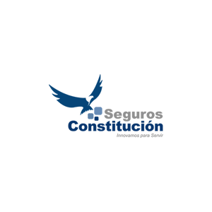 Constitucionseguro1